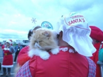 Barb-Harknessa-at-Parade