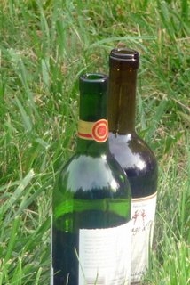 Its-a-Trek-thing-good-cheap-wine