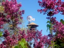 Hulda-Klager-Lilac-Gardens