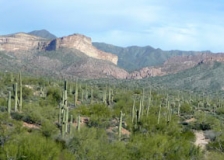 P1070464