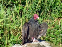 P1040243