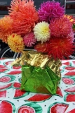 Dahlias05