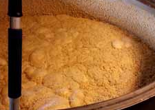 The Fermentation Vat