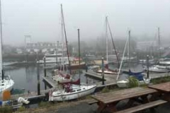 Point Hudson Foggy Morning