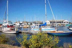 Point Hudson Marina