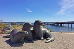 Seal Artwork